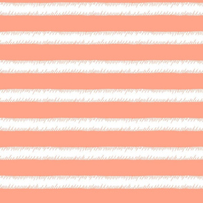 Peach and White Adventure Stripe