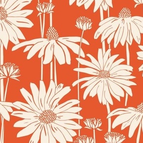 Sunshine Daisy - Tangerine Cream