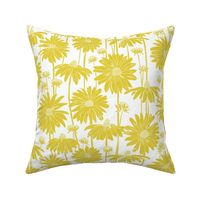 Sunshine Daisy - white citron