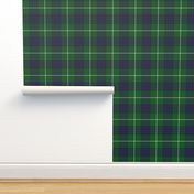 MacIntyre Hunting tartan, 6" modern colors, 1842 Vestiarium Scoticum