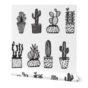 houseplants // plants black and white plants illustration coloring book illustration