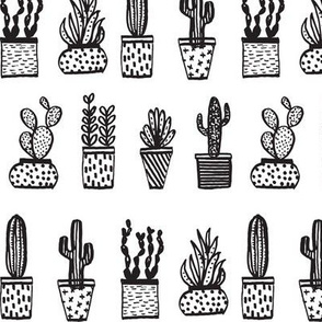 houseplants // plants black and white plants illustration coloring book illustration