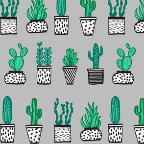 plants // potted plants cactus pots plants cacti succulents