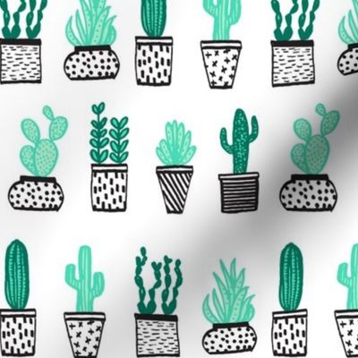 cactus // potted plants succulents plants houseplants tropical summer exotic