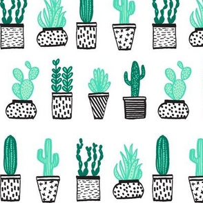 cactus // potted plants succulents plants houseplants tropical summer exotic