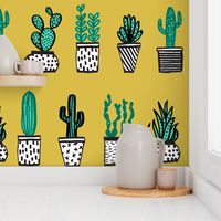 potted plants // houseplants plants cactus plant pots 