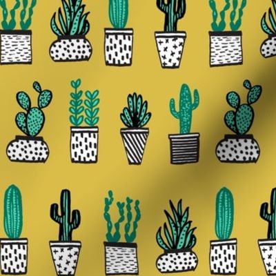 potted plants // houseplants plants cactus plant pots 