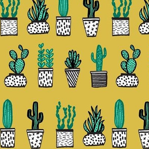 potted plants // houseplants plants cactus plant pots 