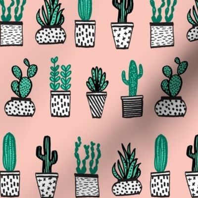 cactus // potted plants plants houseplants plant terrariums succulents illustration