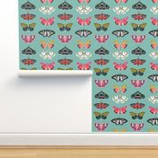 Moths // butterflies moths lepidoptery insects wings print