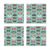 Moths // butterflies moths lepidoptery insects wings print