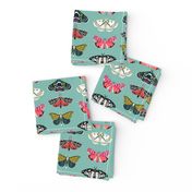 Moths // butterflies moths lepidoptery insects wings print