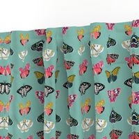 Moths // butterflies moths lepidoptery insects wings print