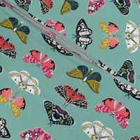 Moths // butterflies moths lepidoptery insects wings print