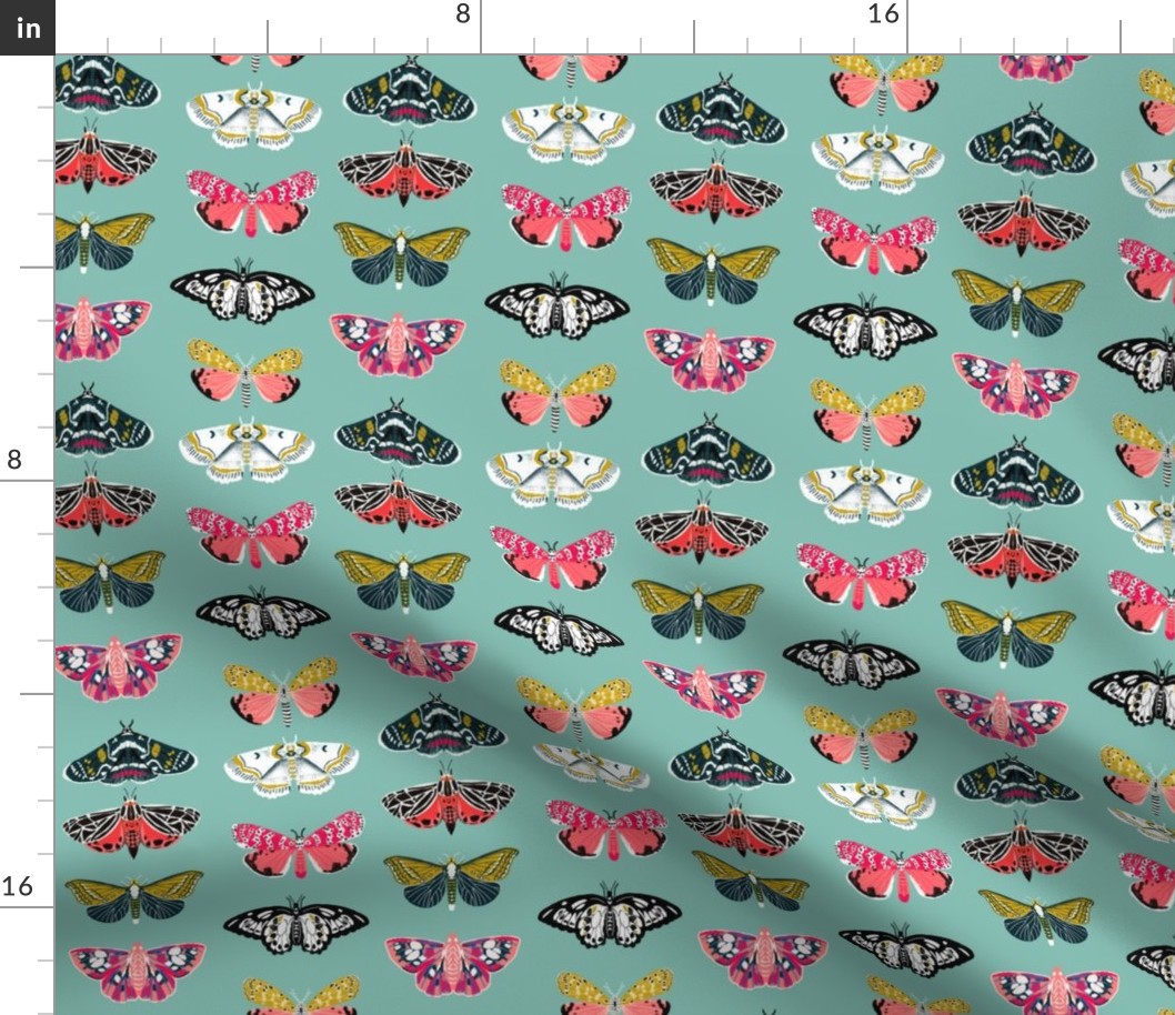 Moths // butterflies moths lepidoptery insects wings print