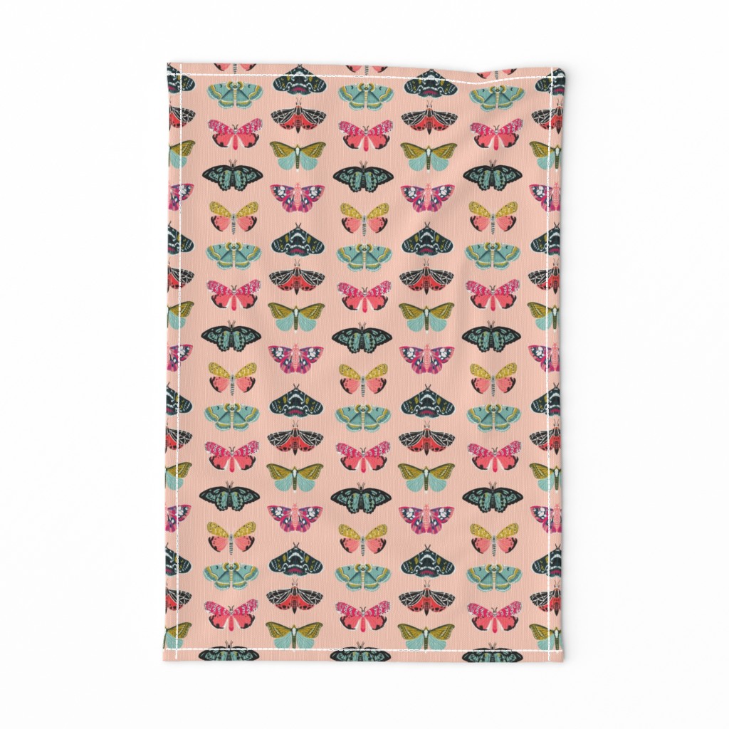 moths // pastel mint insect butterflies spring garden print