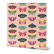 moths // pastel mint insect butterflies spring garden print