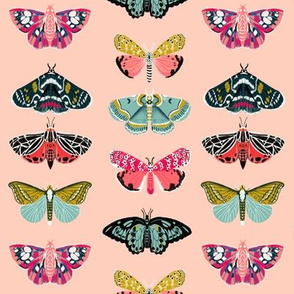 moths // pastel mint insect butterflies spring garden print