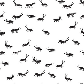 Ants - Black and White by Andrea Lauren
