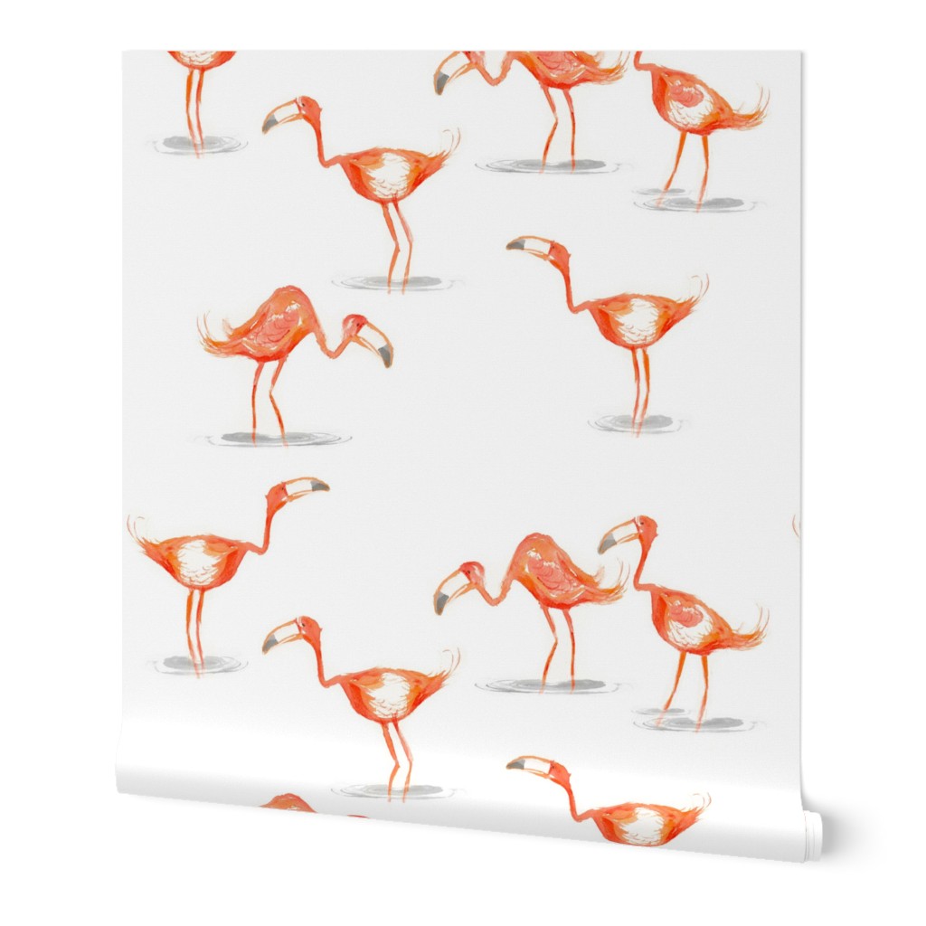 Hi ho, Flamingo