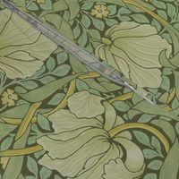 William Morris ~ Antiqued Pimpernel ~ Original ~ Border 