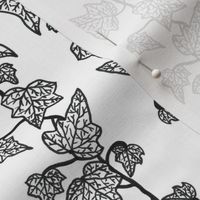 Monochrome Ivy