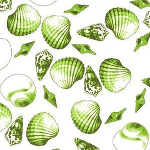 Shell-Mell - Seaweed-White