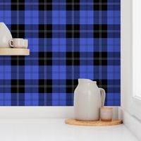 Ramsay Hunting Tartan  - smaller