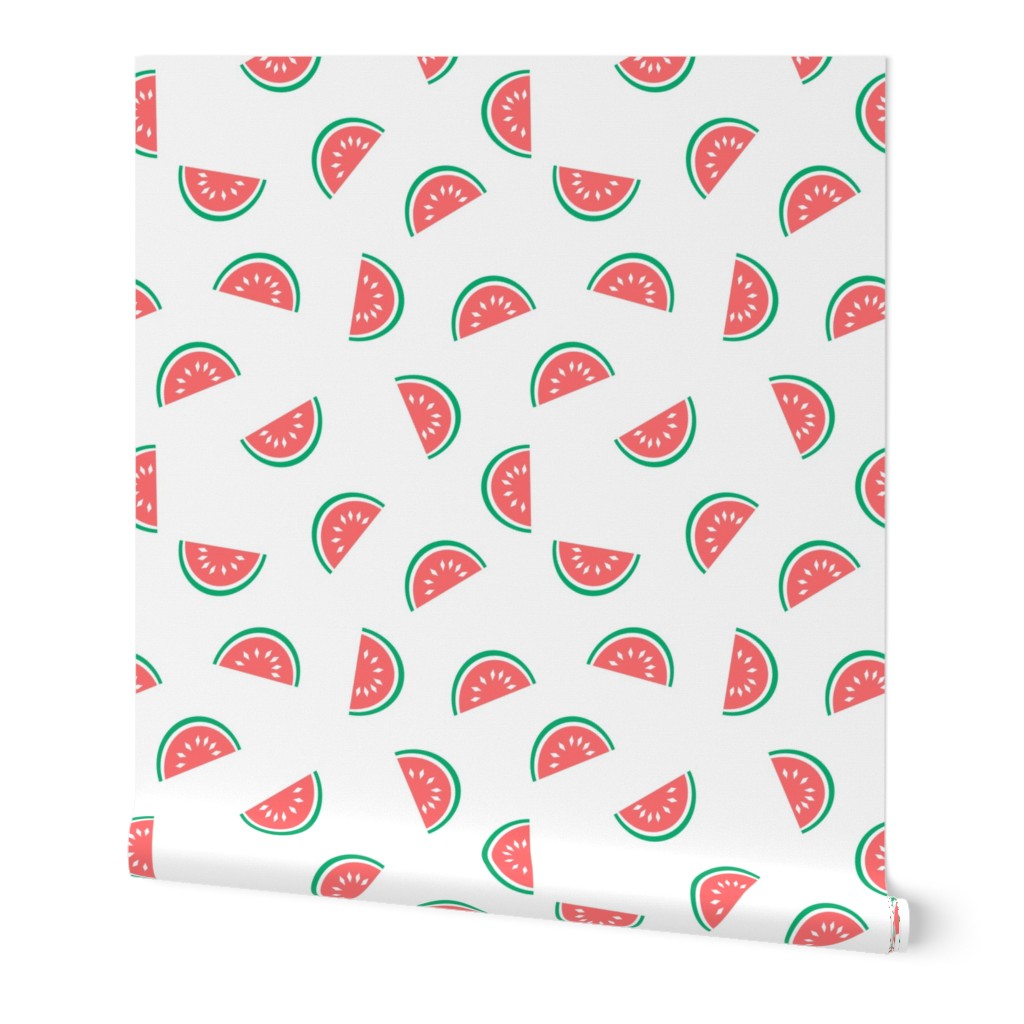 watermelon summer fruit design with white background