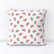 watermelon summer fruit design with white background