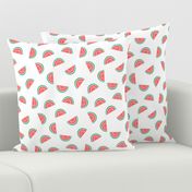 watermelon summer fruit design with white background