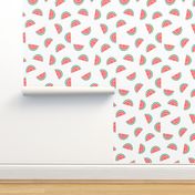 watermelon summer fruit design with white background