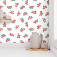 watermelon summer fruit design with white background