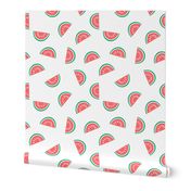 watermelon summer fruit design with white background