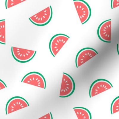 watermelon summer fruit design with white background