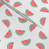 watermelon summer fruit design with white background