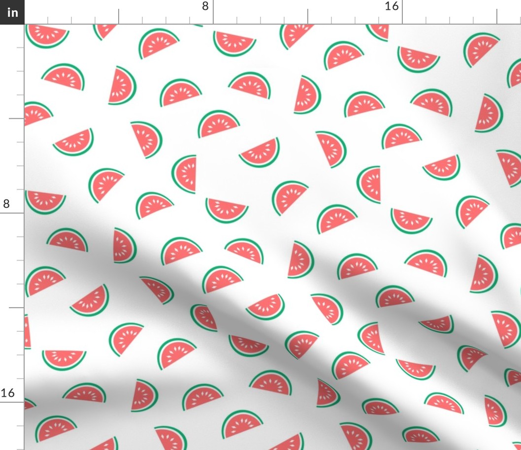 watermelon summer fruit design with white background