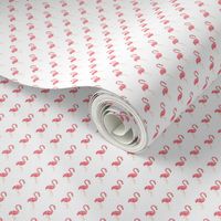 Preppy Flamingo White