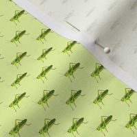 Preppy Grasshopper Lime