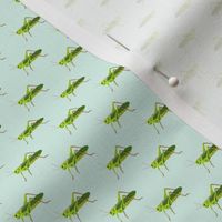 Preppy Grasshopper Spa