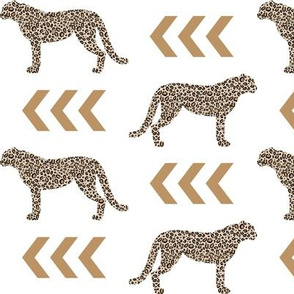 cheetah - tan and black leopard animal spots