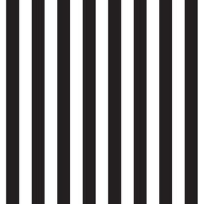 Black and White Stripe