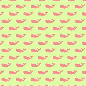 Preppy Whale Pistachio