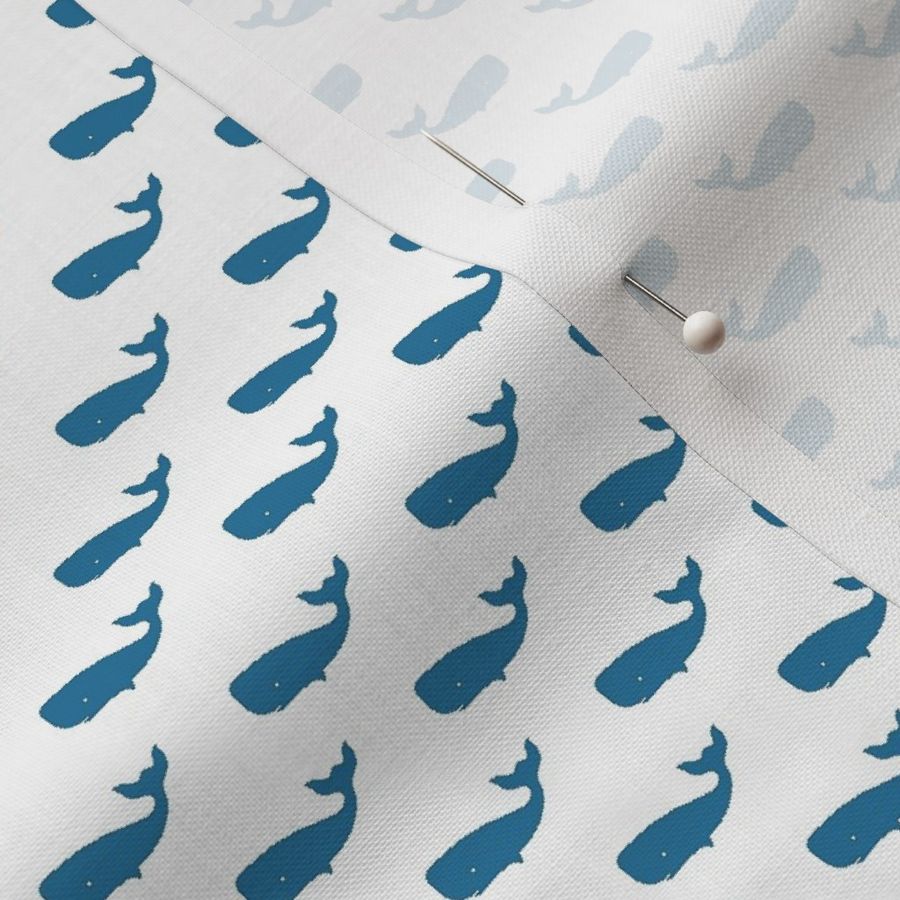 Preppy Whale White