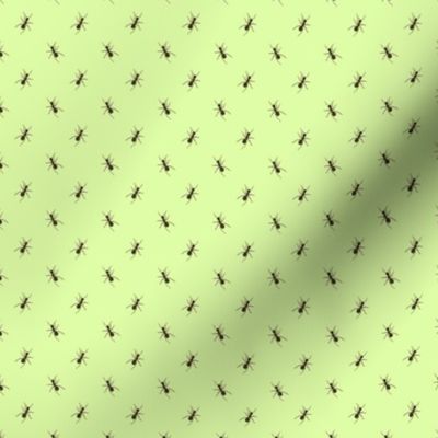 Preppy Ant Grass Green