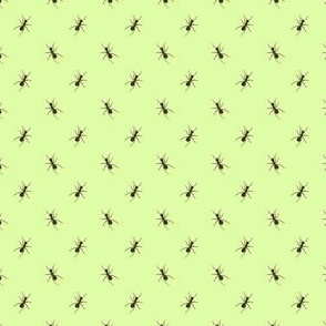 Preppy Ant Grass Green