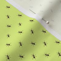 Preppy Ant Chartreuse