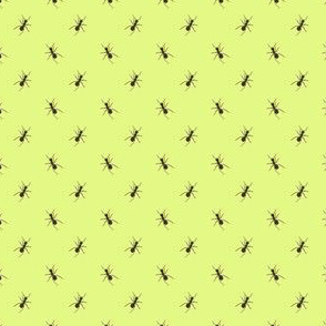 Preppy Ant Chartreuse