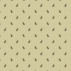 Preppy Ant Khaki