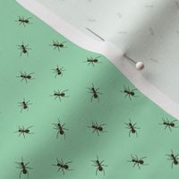 Preppy Ant Teal